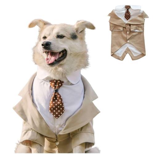 IUOUTG ^̂߂̃^LZhVcAGKgȌ̌p[eB[̈ߑ̃X[c{E^CAa̍Ղ̂߂̐ȃybg̃X[c̃RX`[