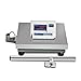 300kg x 10g Industrial Weighing Scale - Heavy Duty 300kg Capacity, 10g Resolution, 400x500mm Platform, LED Display, 220V & Battery for Warehouse Factory