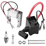 Aynaxcol CDI Ignition Coil with Magneto Coil Spark Plug for 50cc-80cc 2 Stroke Engine Motorized Bicycle Bike CDI Ignition Coil Kit