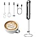 Bundle of Typhur InstaWhisk Milk Frother + Typhur Sync Gold Lite Smart Wireless Meat Thermometer