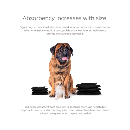 Image of Pet Parents Washable Belly Band Male Dog Diapers, Dog Wraps and EXTENDRS, Black, X-Small: 1