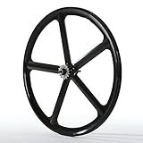 Solomone Cavalli SC Fixed Gear 700c Tri Spoke 5-Spoke Rim Rear Single Speed Fixie Bicycle Wheel