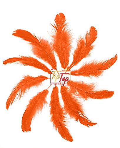Image of Natural Dyed Feathers 10 cm (80 pieces) (Orange)