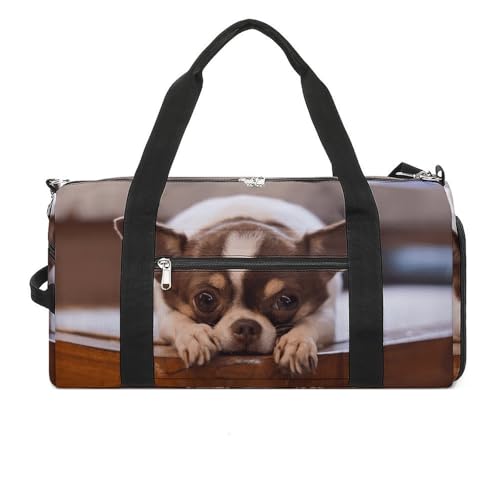 WobO `  X|[cobO {XgobO _btobO e  ϐ jp 3way Cws