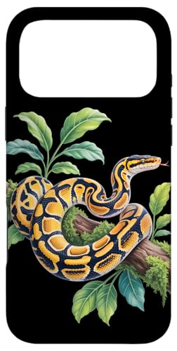 �ʔ����{�[�� �p�C�\�����D�� �w�r ঒��� �p�C�\�� Ball Python Regius Snake Lover �X�}�z�P�[�X iPhone 17 Pro Max �p