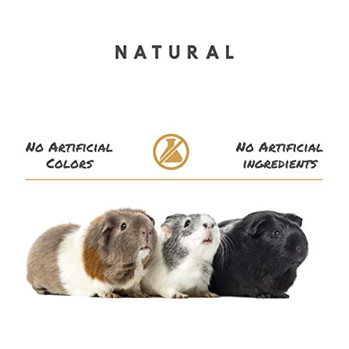 Manna Pro Guinea Pig Feed | With Vitamin C | Complete Feed For Guinea Pigs | No Artificial Colors Or Flavors | 5 Lb #TOP5