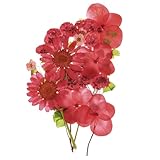 PATIKIL Getrocknete Gepresste Blumen, Echte Trockene Blätter Blumen für Scrapbook Zubehör Kartenherstellung Harz Schmuckherstellung Seifenkerzen DIY Basteln, Mehrfarbig