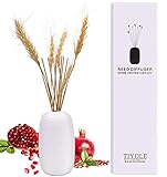 TIYOLE Reed Diffuser, Reed Diffuser Set, Oil Diffuser & Reed Diffuser Sticks, Red Pomegranate...