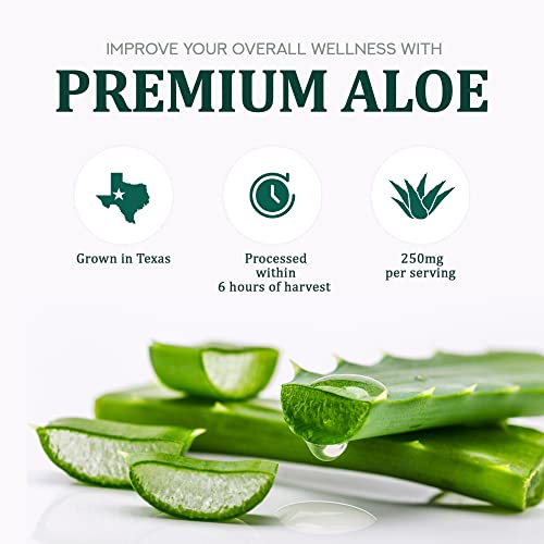 Wellit Immunevera Aloe Vera Immune Supplement Jelly L Aloe Vera Extract | Supports Digestive L Support Immune Health & Skin Health L White Grape Flavor L 14 Pcs #TOP6