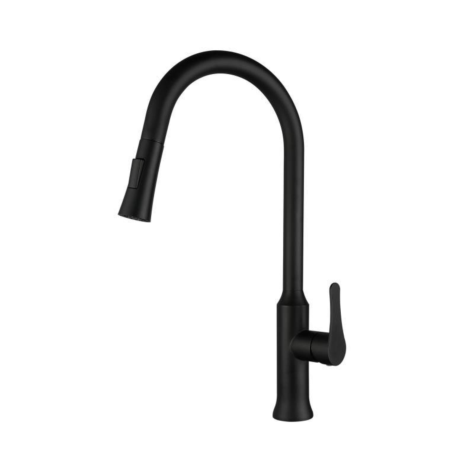 Fanjubei Black Kitchen Pull-Out Hot And Cold Water Dual-Mode Faucet,