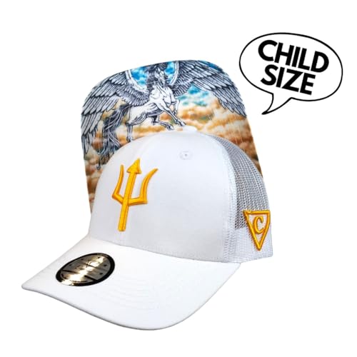 Image of Capiche [99+ Variations] Special Series Snapback Cap - One Size Unisex Men