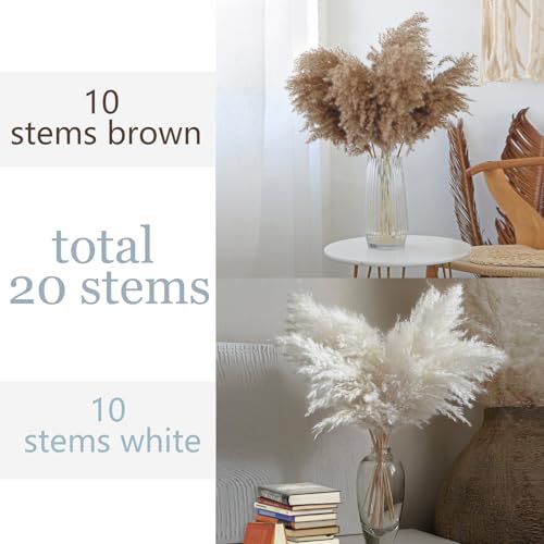 Image of 28 inch inch 20 Stems Large Pampas Grass Decor - Fluffy Brown & White Pampas Grass Decor Tall Pompas Grass for Floor Vase - Boho Home Decor Wedding Decor Natural Flower Bouquet