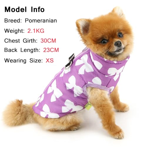 Image of SMALLLEE LUCKY STORE Dog Coat with D-Ring for Small Dogs, Purple, XL | Bow Print, Water-resistant Shell, Padded Warmth, Zip-up Fit, Winter Walks, Chihuahua, Yorkie, Small Dog Harness Jacket