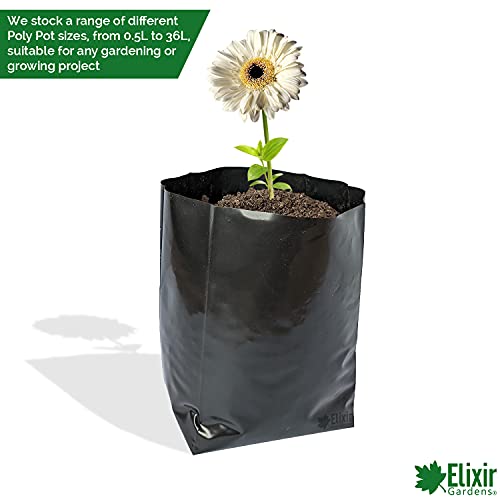Elixir Gardens Hadopots Polythene Plant Pots | Available Sizes 0.5L 1L 1.5L 2L 3L 4L 5L 6L 8L 10L 13.5L 17L 36L | Strong Professional Popular Grow Bag Reusable Quality | 4L x 30 - Image 3