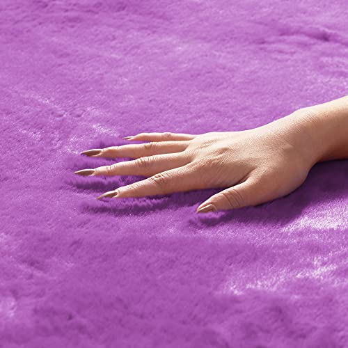 Image of FH Group Universal Fit Full Set Doe16 Faux Rabbit Fur Automotive Floor Mats fits most Cars, SUVs, Trucks and Vans Purple
