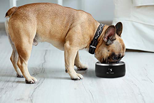 PetHaven Dog Bowl Cat Bowl for Food and Water, Stainless Steel Double-Wall,Keeps Cold for Hrs, Non Slip Feeding Dish… - Image 6