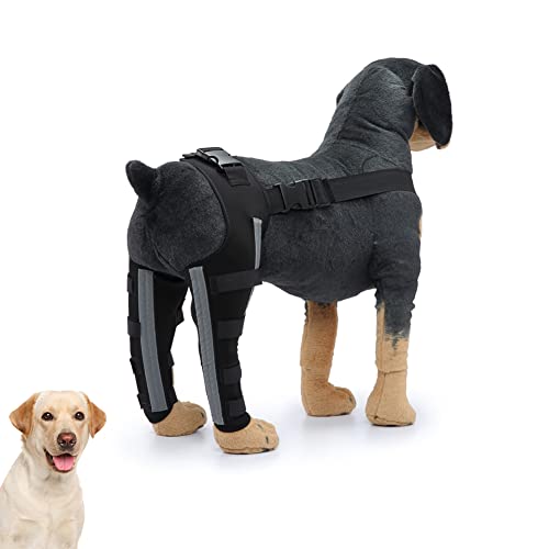 Image of Dog Knee Brace Adjustable Dog Double Rear Leg Brace with Metal Hinged Flexible Support and Reflective Seat Belts Dog Acl Brace Hind Leg Black (L)