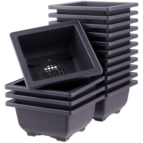 FUNSUEI 15 Stück Bonsai Schale, 12 x 12 x 6 cm klein Bonsaischale Kunststoff, Blumentopf Pflanzschale für Bonsai Innen- und Außenbereich, Quadratisch