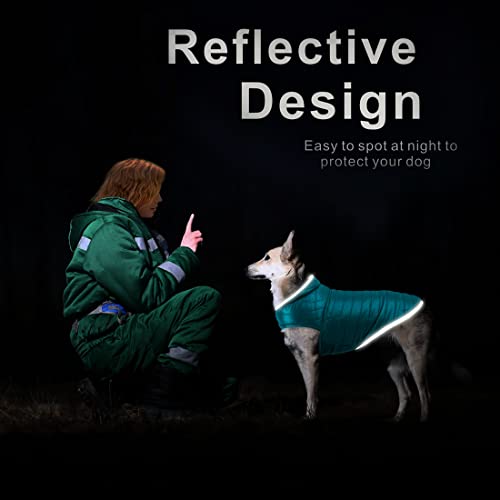 Oslueidy Cappotto per cani reversibile, giacca da