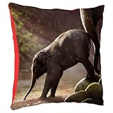 Dimensions : Taille standard 40 x 40 cm, parfaite pour vos coussins décoratifs