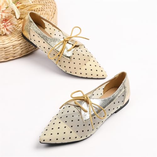 Women's Mesh Polka Dots Dress Shoes Slip On Lace Up Breathable Pointed Toe Casual Flats Fashion Comfortable Lightweight Low Top Non-Slip Soft Soled Flat Ballet Shoes for Office Party2