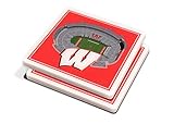 YouTheFan NCAA Wisconsin Badgers 3D StadiumViews Coasters Team Color, 4' x 4'