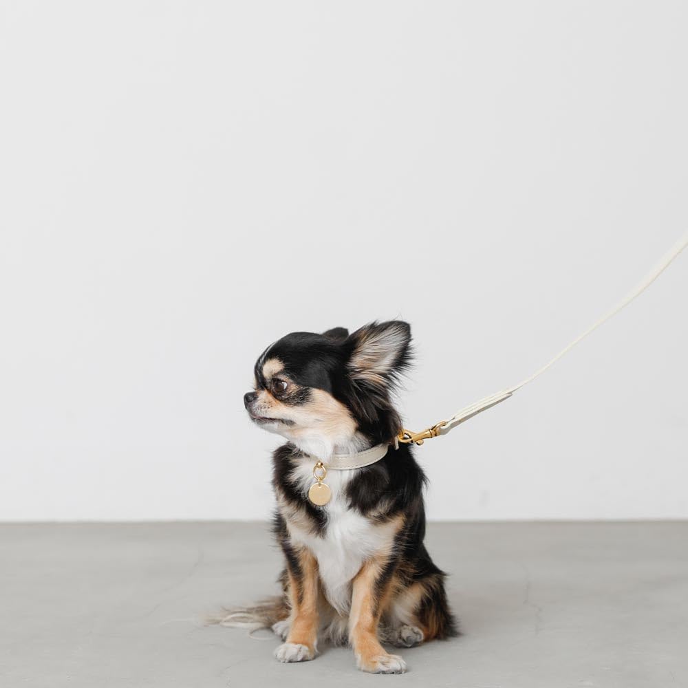Amazon | moncheri モンシェリ 犬 首輪 サークルチャームレザーカラー