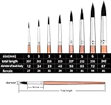 Transon Round Watercolor Detail Paint Brushes Goat Hair 8pcs for Watercolors,Acrylics,Inks,Gouache,Oil and Tempera
