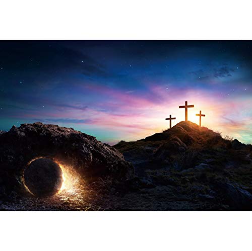 DASHAN 12x8ft Polyester Backdrop for Photography