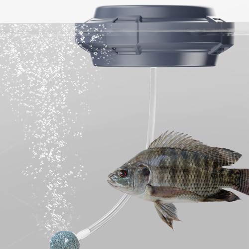 Pompe aérateur pour étangs étanche pour purifier l'eau du jardin