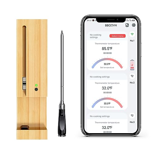 BtcLink Wireless Probe Thermometer
