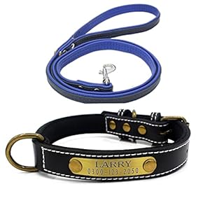 Yonsbox Personalized Leather Puppy Dog Collar...