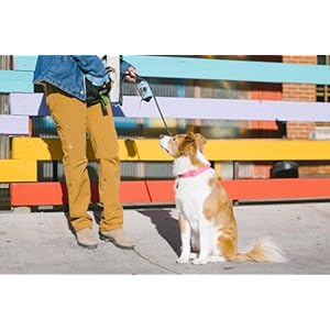 OllyDog-Backcountry-Day-Bag-Fanny-Pack-Dog-Treat-Pouch-Hands-Free-for-Training-Hip-Pack-with-Built-in-Poop-Bag-Dispenser-Removable-Waist-Belt-Clip-Maui-Blue - Cucciolini Doodles   OllyDog-Backcountry-Day-Bag-Fanny-Pack-Dog-Treat-Pouch-Hands-Free-for-Training-Hip-Pack-with-Built-in-Poop-Bag-Dispenser-Removable-Waist-Belt-Clip-Maui-Blue