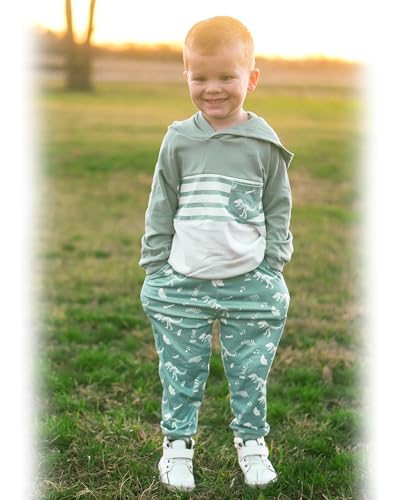 HINTINA Baby Boys Dinosaur Long Sleeve Hoodie Tops Sweatsuit Pants Winter Outfit Set2