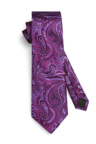 Image of HISDERN Ties for Men Paisley Tie and Pocket Square Woven Classic Floral Mens Ties Handkerchief Set Wedding Party Necktie