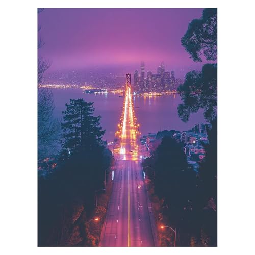 ゴールデンゲートブリッジ 数字油絵 市 数字塗り絵画 手芸キット 40 x 30 Cm 絵画 インテリア 手作りキット ビッグサイズ 複数サイズ 子供 初心者 ペイントバイナンバー 画材 Paint by Numbers 適用対象そして自宅 壁飾り お歳暮