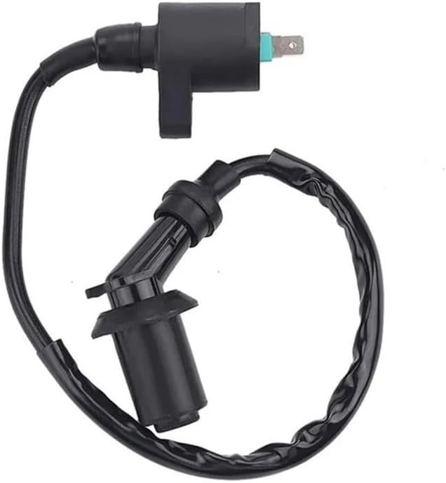 5 6 Pin Ignition Coil With Racing AC Box For GY6 50 70 90 110 125 150cc 139QMB 152QMI 157QMJ ATV Go Kart Dirt Bik(Coil AND 6PIN CDI)