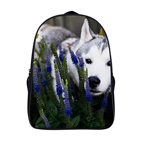 Cartables pour enfants Husky 3D pour la rentrée des classes