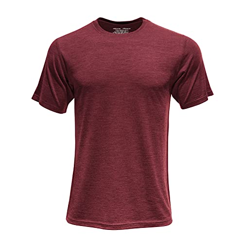 SHEEP RUN Men's Merino Wool Lightweight Hiking Running Wicking Breathable Short Sleeve T Shirt (Carmine, Medium)