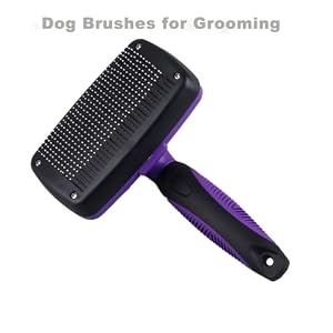 Self Cleaning Slicker Brush for Dogs Cats Brush for Shedding Grooming Brushes for Long Short Haired Pets (Purple)