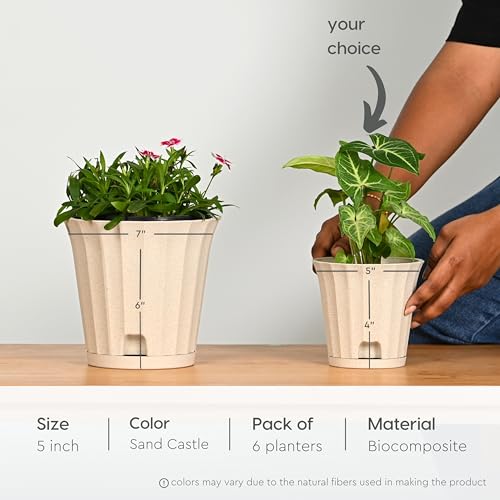 Image of Eha Earth Friendly Ace 5 inch Small Self Watering Pots for Indoor Plants | Set of 6 | Plant Pot Made with Bamboo Fibers | Table Top Planters for Home Decor, Flower Pot for Living Room | Sand Castle