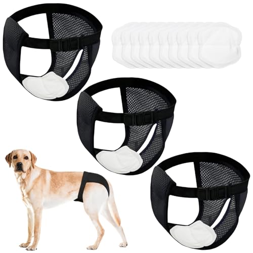 3er-Pack LäUfigkeitshose FüR HüNdinnen,HöSchen FüR Hunde LäUfigkeit, Mit 10 Damenbinden, Verstellbare Taille, Geeignet FüR LäUfige HüNdinnen, Schwarz XL