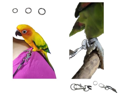 Arnés de loros ajustable para evitar escapes con cuello elástico de 3 mm 4