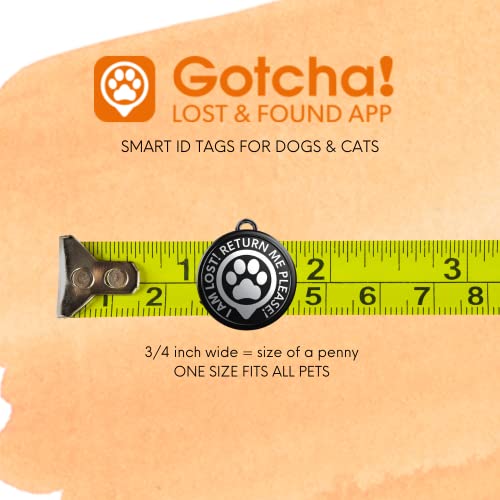 Max & Molly Gotcha Smart Id Tag, Qr Code For Personalized Pet Recovery Info, Attaches To Any Dog/Cat Collar Or Harness, Geo-Tracking Technology To Reunite Owner With Pet, For Dogs, Cats & Other Pets #TOP5