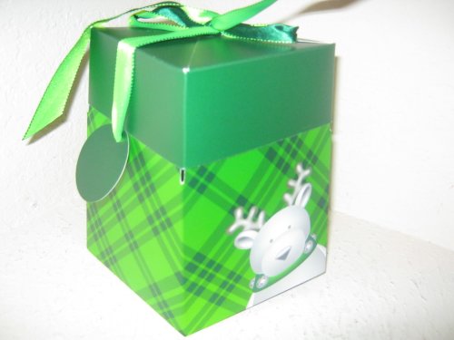 Bath & Body Works Green Plaid Reindeer Small Gift Bag Box with Bow