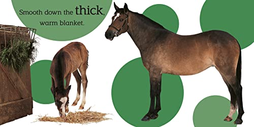 Dk 9781465409195 Touch And Feel: Ponies thumb #3