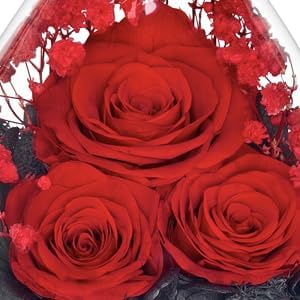 Gifts for Women Preserved Rose Forever Flower in Glass Angel Figurines Fresh Flowers for Delivery Prime Mothers Day Birthday Gifts for Mom Real Roses for Grandma Sister Wife (Red Rose) - Image 9