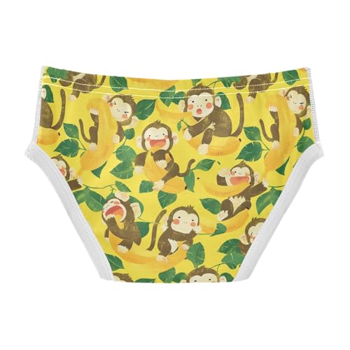 visesunny Boys Potty Training Underwear Faded Cartoon Monkey Breathe Cotton Briefs Size 2T-8Y for Toddler2
