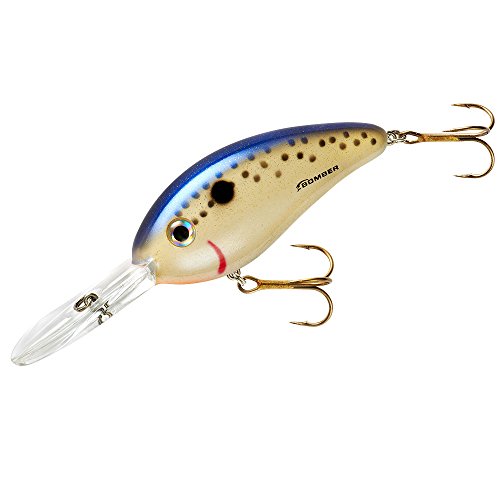 Leurre Bomber BD7FDFT - Excalibur Fat Free Shad - Bill Dance - 3/4 Oz - Fire Tiger