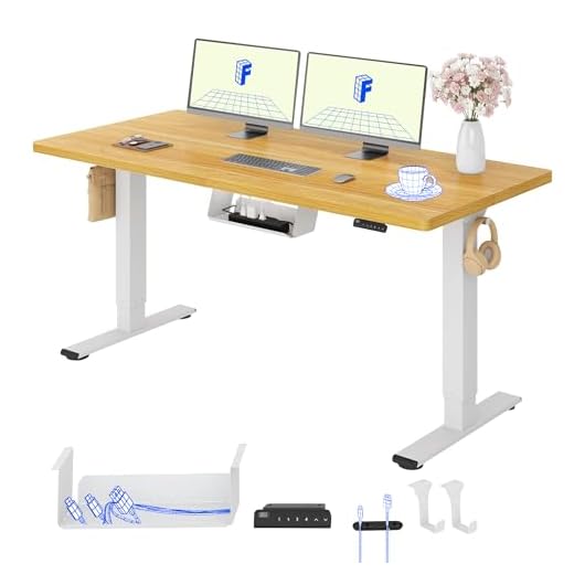 FlexiSpot Höhenverstellbarer Schreibtisch mit 2 Motoren